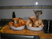 UNO DE LOS MUCHOS MANJARES DE SORIA: BOLETUS EDULIS,  BUENSIMOSSSSSSS