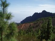 Paisaje volcnico de Tenerife