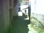 robledo de pinofranqueado