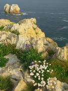 Costa Quebrada. Liencres, Cantabria