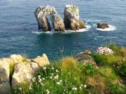 Primavera en Costa Quebrada. Liencres, Cantabria