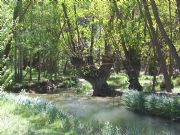 Rio Royuela. Royuela, Teruel