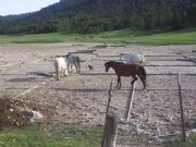 Caballos y sal. Sierra de Albarracin, Teruel