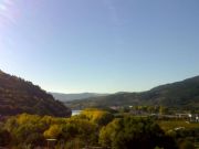 Otoo en la chopera  a orillas del Sil en Vilamartn de Valdeorras, Orense