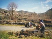 La matanza (Riofro)