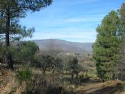Tormantos desde Jaraíz. Jaraíz de la Vera, Cáceres
