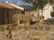 Verracos ibricos en la Plaza Mayor de Villatoro