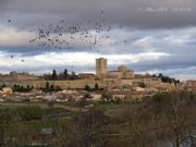 Catedral de Zamora. Zamora, Castilla y Len