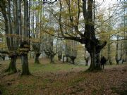 patxikoren etxea - Gorbea parque natural