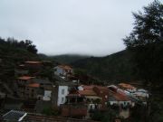 Avellanar Las Hurdes. Pinofranqueado, Cceres