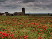 Boada de Campos. Boada de Campos, Palencia