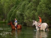 Caballos en Peralejos de las Trucas, Parque Natural Alto Tajo