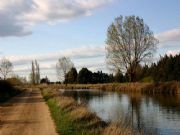 Canal de Castilla. Palencia, Castilla y Len