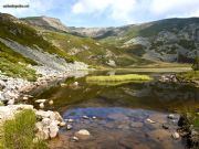 Laguna de la Cebollera