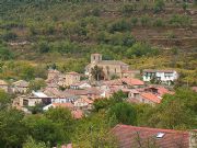 Panormica