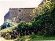 la zarza y maleza