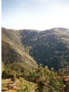 Ruta por la Ribeira Sacra