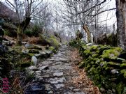 Camino enlosado
