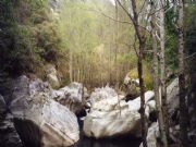 Cauce seco del rio Xares en Barja