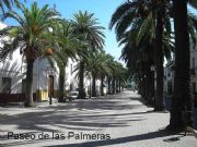 Paseo de las Palmeras. Oliva de la Frontera