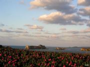 Isla de los conejos. Suances, Cantabria