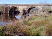 Puente Romano Caparra
