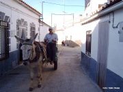 Transporte tradicional, El Bronco, C�ceres