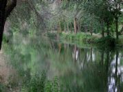 Canal de Castilla. Palencia, Castilla y Len