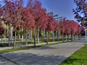 Palencia. Palencia, Castilla y Len