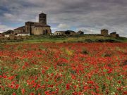 Torremormojn. Torremormojn, Palencia