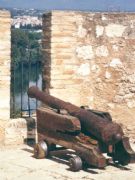 Un can del Parador de Tortosa (Tarragona)