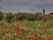 Villarramiel. Villarramiel, Palencia