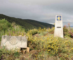 Camino de Santiago Moz�rabe