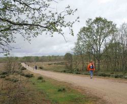 Camino de Santiago Moz�rabe
