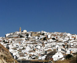 Baena, punto central del `nuevo´ Camino de Santiago Mozárabe
