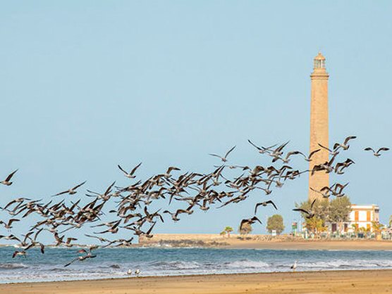 Gran Canaria, uno de los primeros destinos turísticos en recuperarse del coronavirus