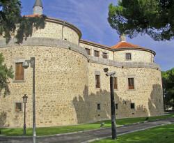 Castillo de Villaviciosa de Od�n