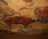 Pinturas rupestres. Cueva de Altamira