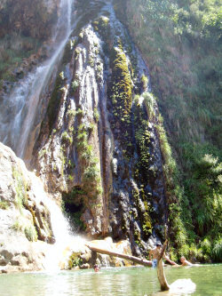Los Chorradores de Otonel, Valencia