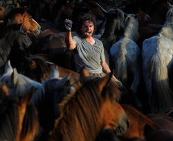 Rapa das Bestas de Sabucedo