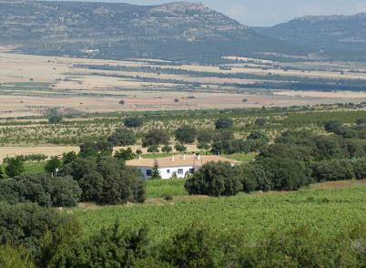 Finca El Romeral. Alpera, Albacete