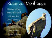 Rutas por Monfrage. Malpartidad de Plasencia, Cceres