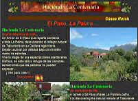 Hacienda La Centenaria. El Paso, La Palma, Islas Canarias