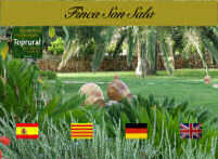 Agroturismo Finca Son Sala. Campos (Mallorca), Baleares