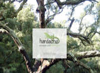 Hardacho Actividades en la Naturaleza. Jrica, Castelln