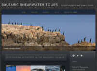 Balearic Shearwater Tours. Palma de Mallorca, Baleares